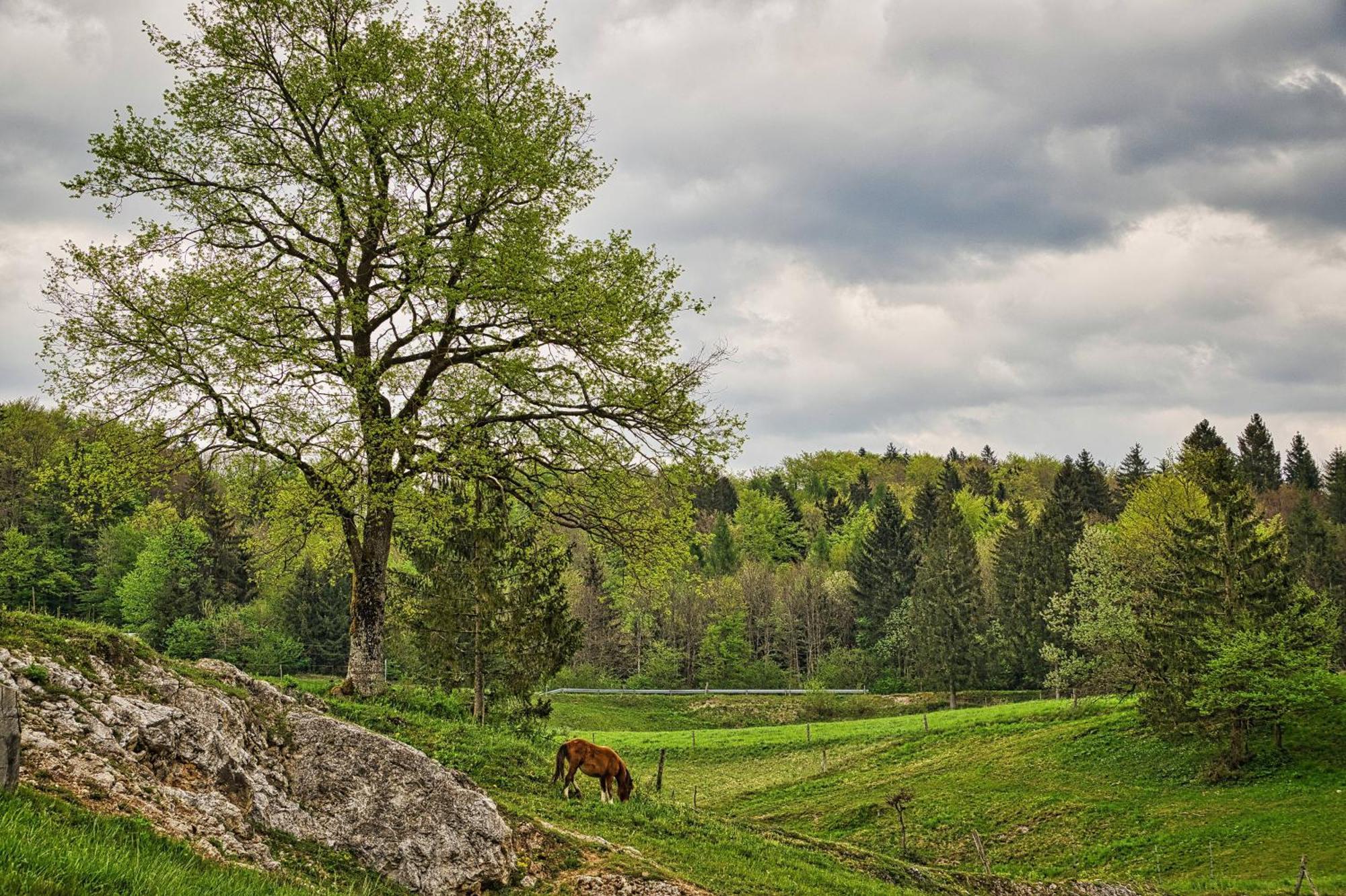 Cowboy'S Land Hotel Visnja Gora Exterior foto